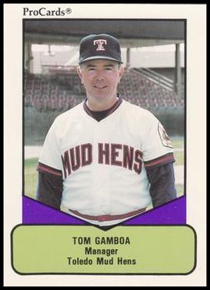 394 Tom Gamboa